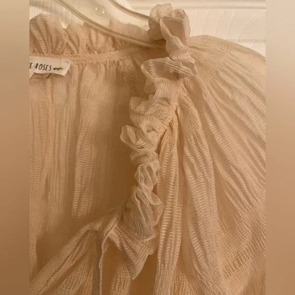 Free the Roses Sheer Ruffled Blouse - Picture 7 of 9